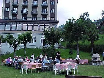 Edelweiss Hotel 3*