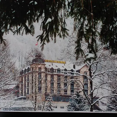 Szálloda Edelweiss 3*